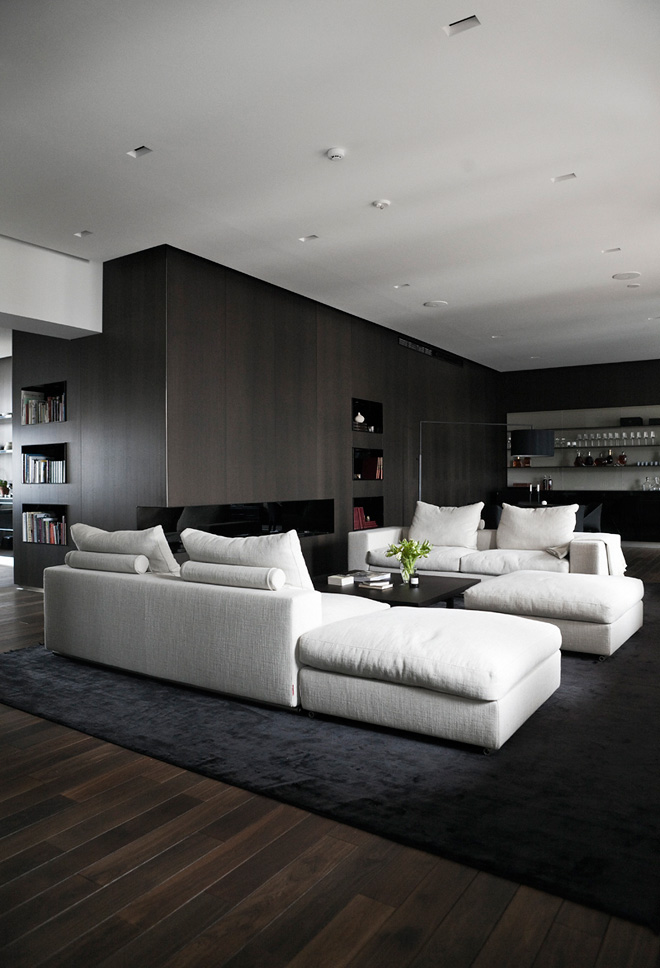 Contemporary Dark Interior Design Living Room