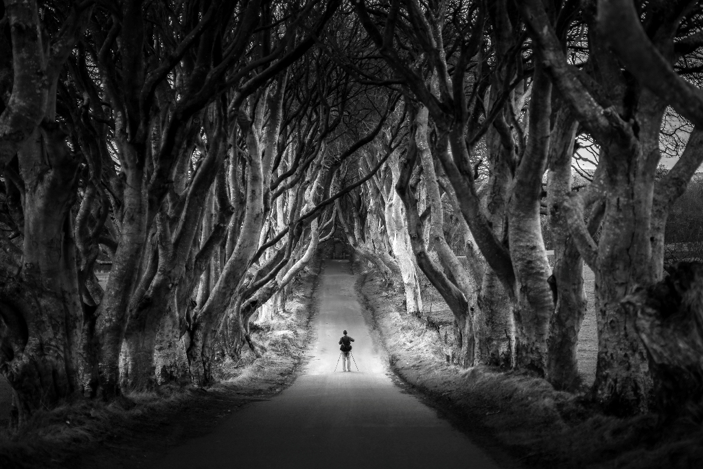 The photographer at the Dark Hedges, Northern Ireland