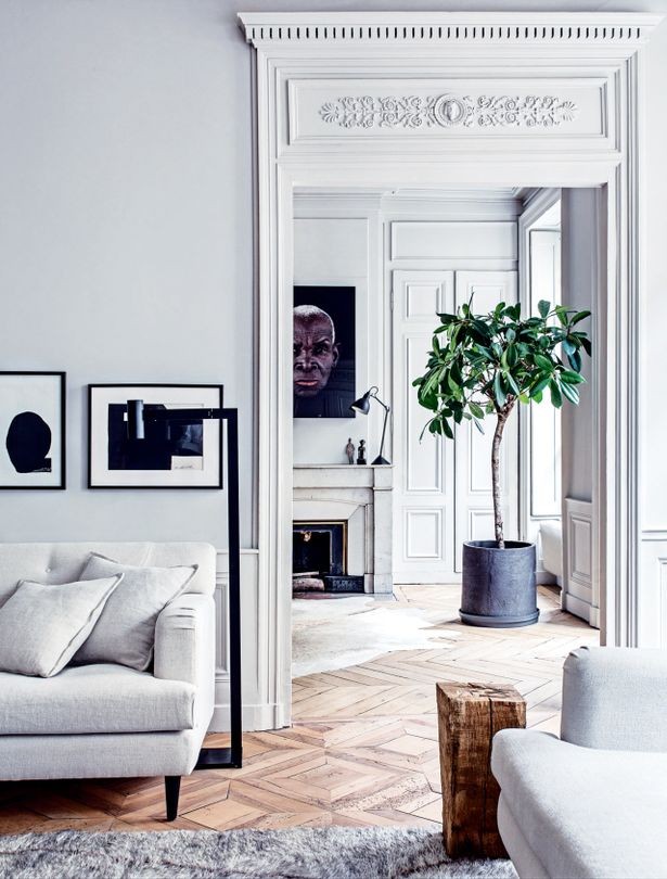 Modern French Apartment