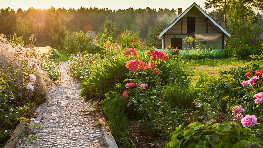 Eco-Friendly Organic Backyard landscape
