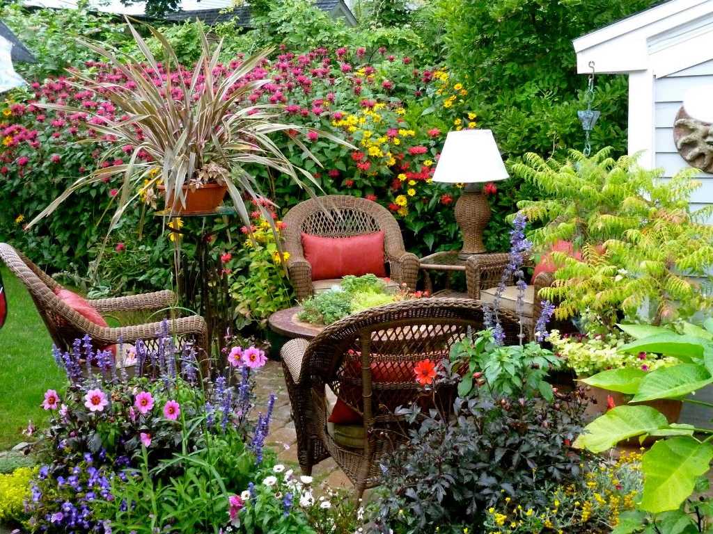 Garden With Full of Colorful Flowers
