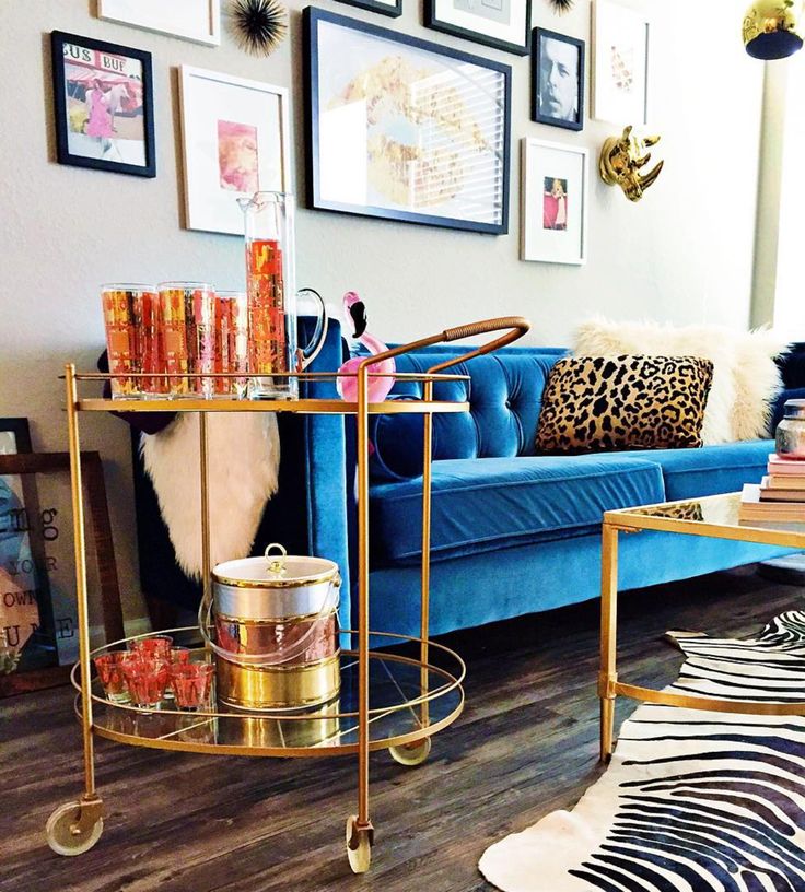 Living Room Ideas With Zebra Rug