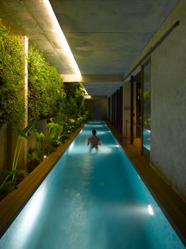 Modern Indoor Pool with Vertical Garden Wall