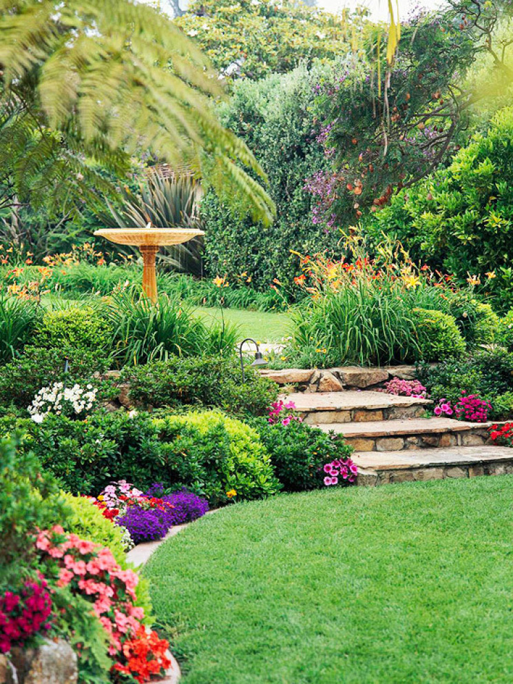 Plants Decoration Backyard landscaping