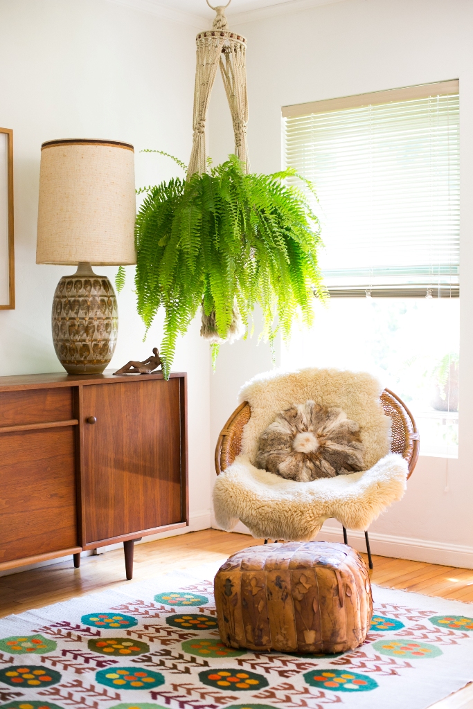 Decorate Hanging Plant in Living Room