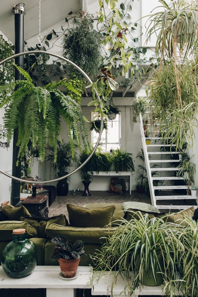 Living Room Full of Plants