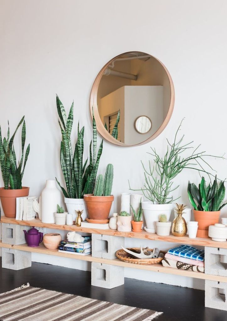 Plants On Bench Living Room Mirror Decor