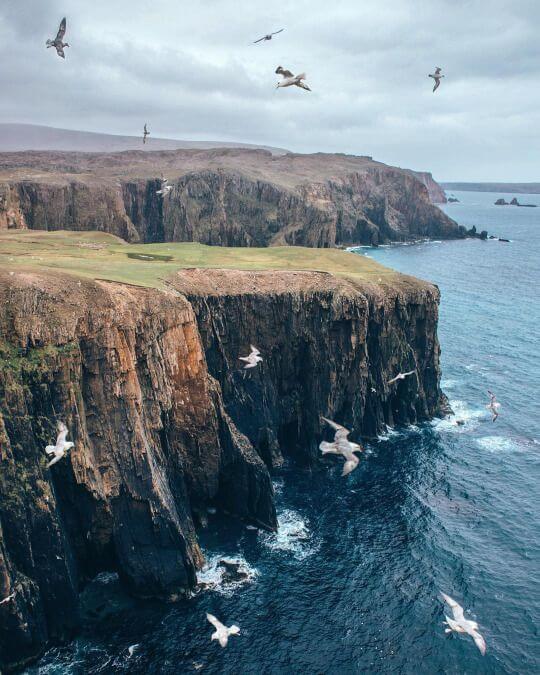 Shetland Islands, Scotland Bird View