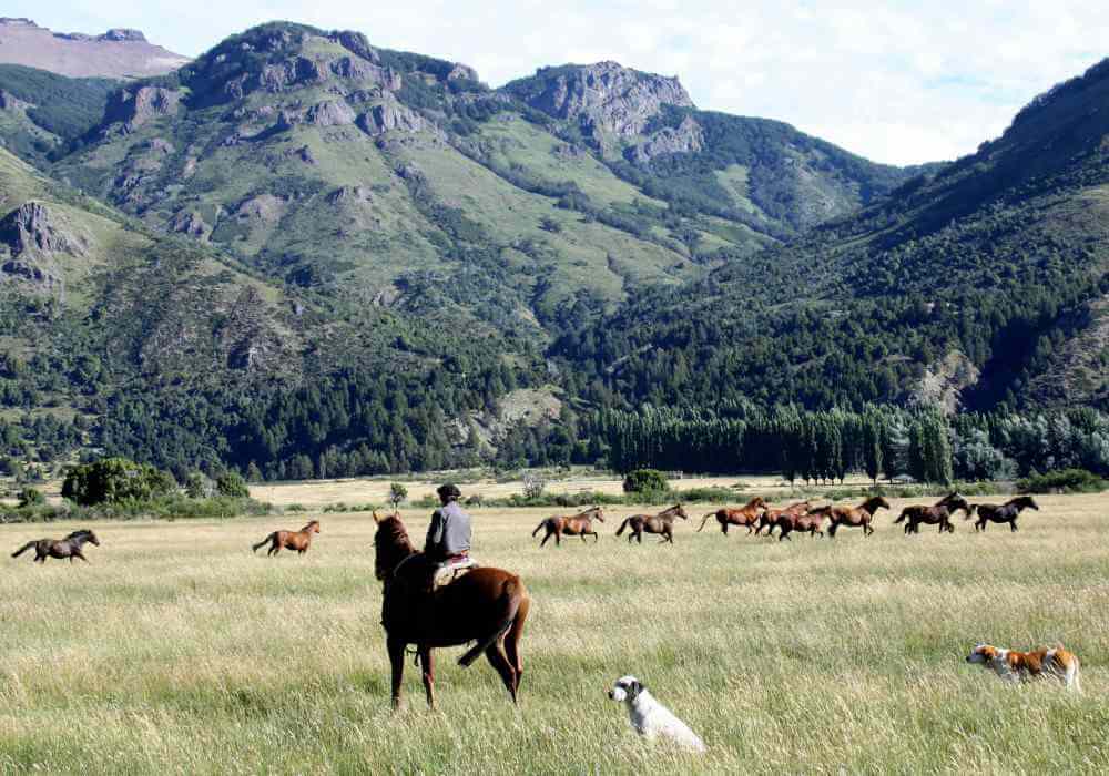 The Patagonia Trail, Argentina Horse Riding