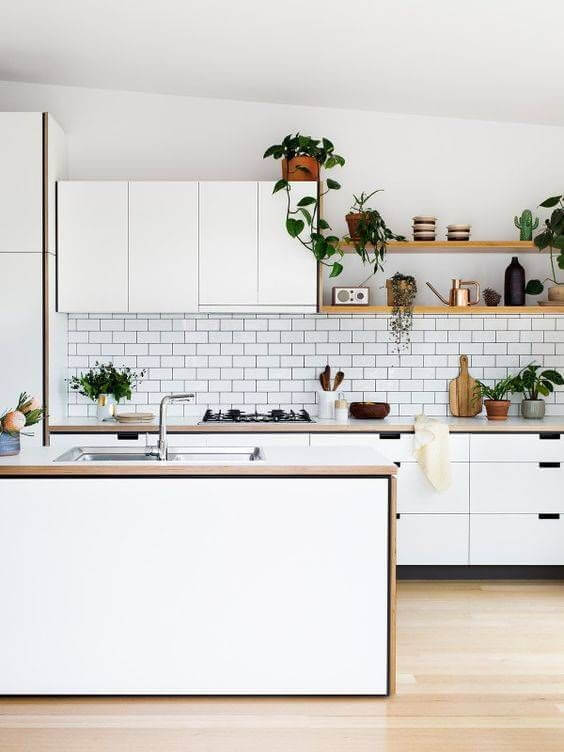 Small Minimal Kitchen Interior with Plant Decoration