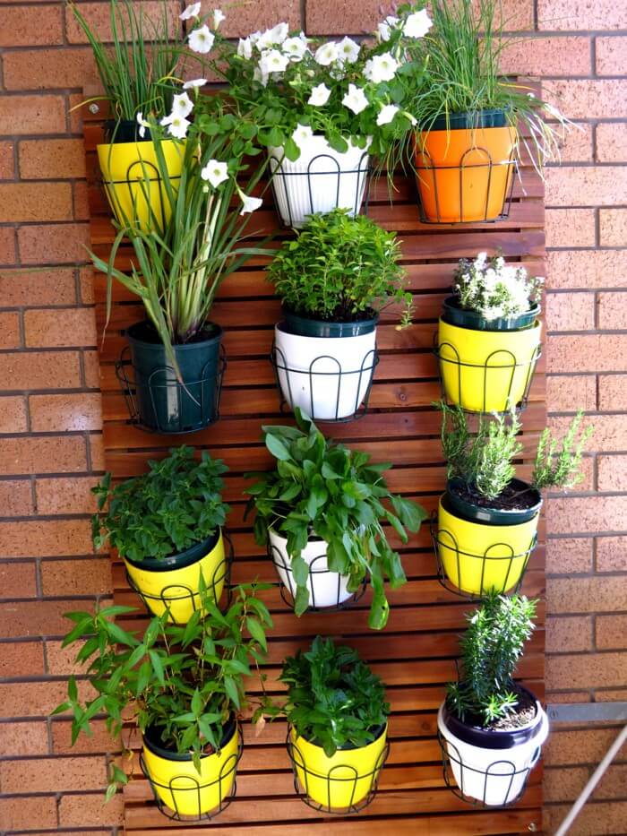 colorful vertical garden with potted plants