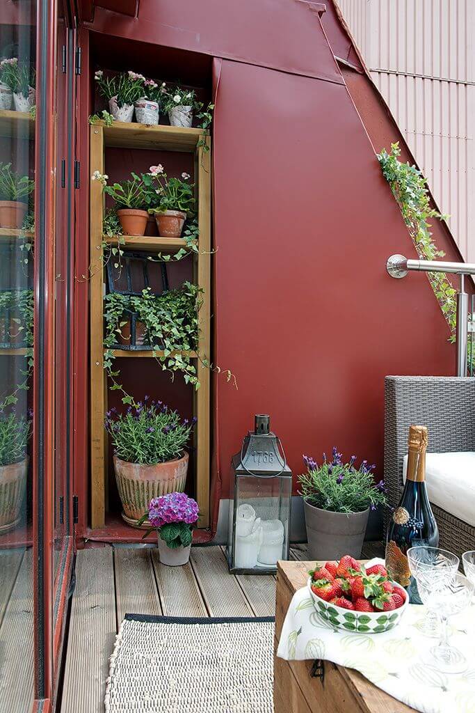 cupboard shelf for plants