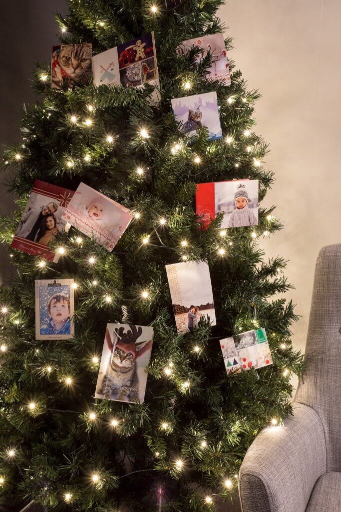 display holiday cheer on tree