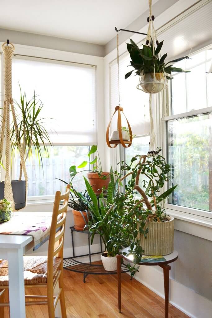 window hanging plants decoration