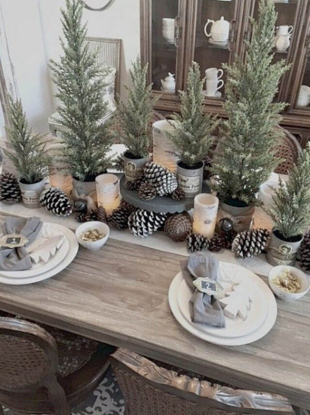 Plants And Pinecones Rustic Christmas