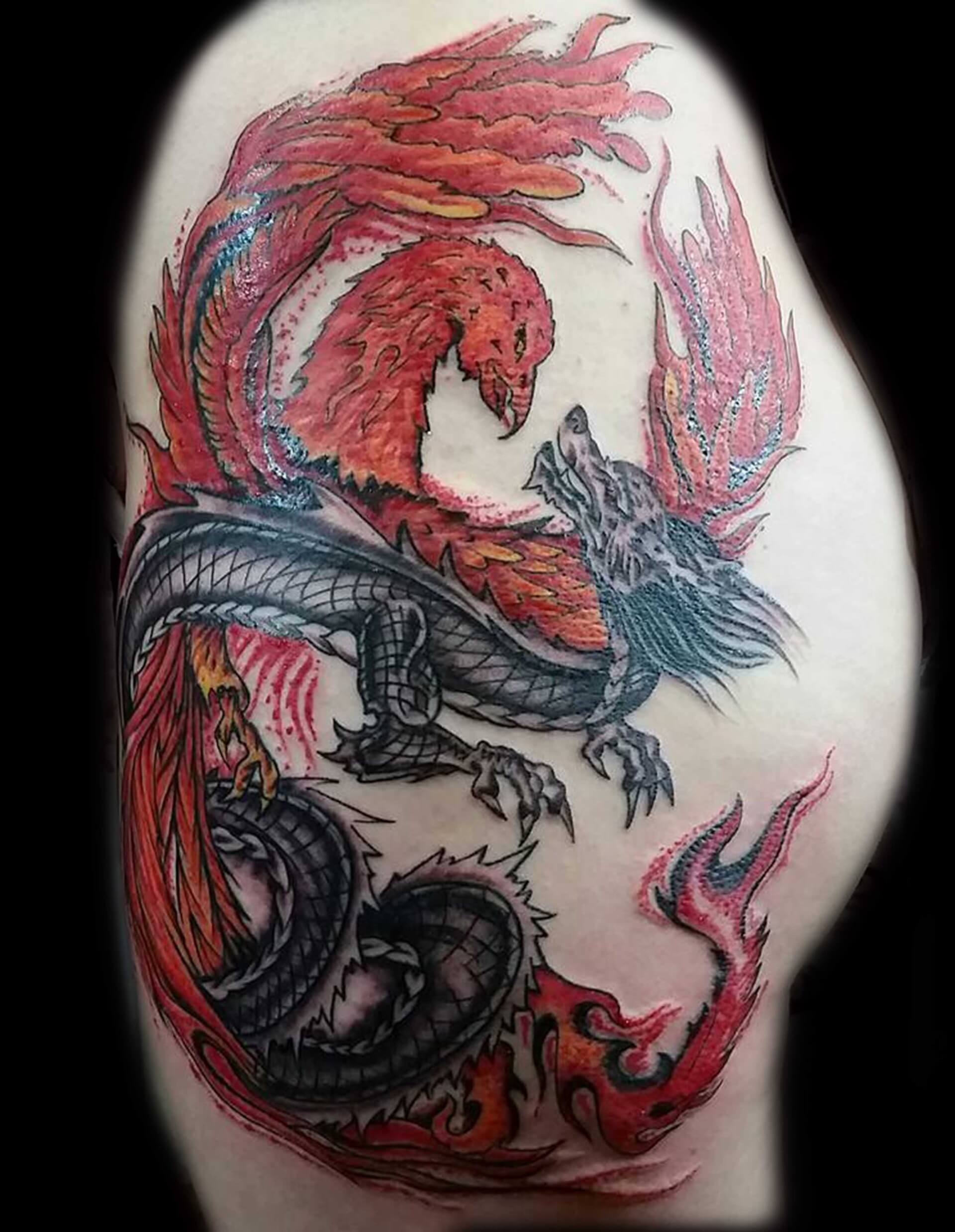 Phoenix Dragon Tattoo