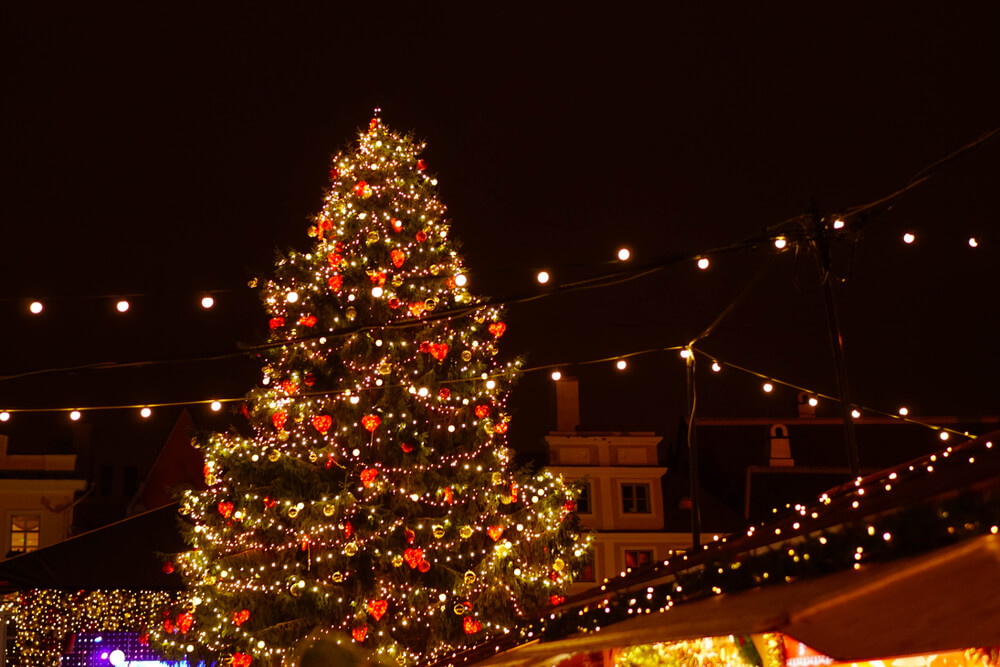 Giant Christmas Tree Lights Decor