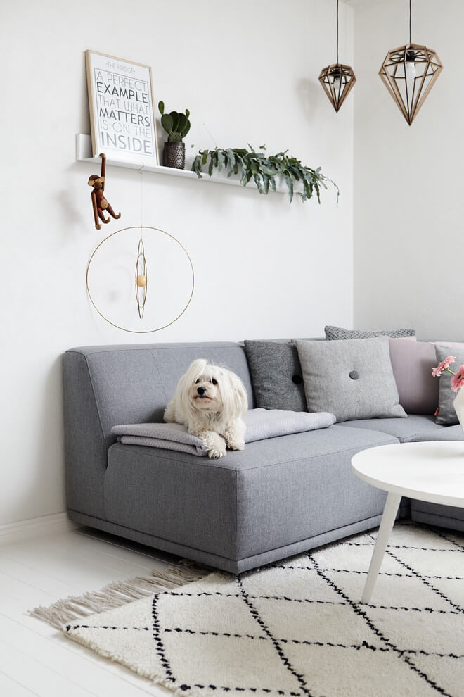 Elegant Scandinavian Living Room Design