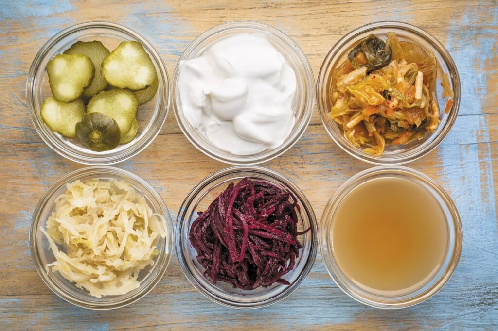 Probiotics From Fermented and Dairy Products