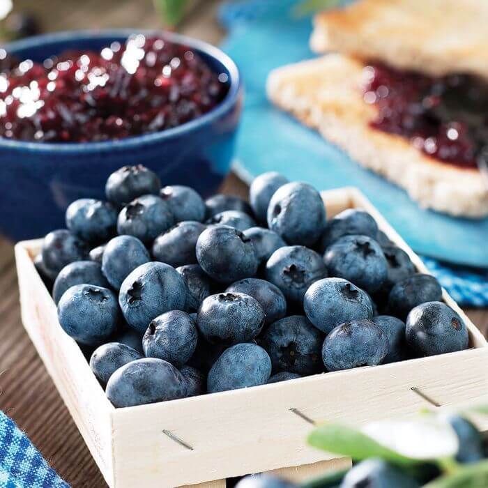 Blueberries Nourish The Skin