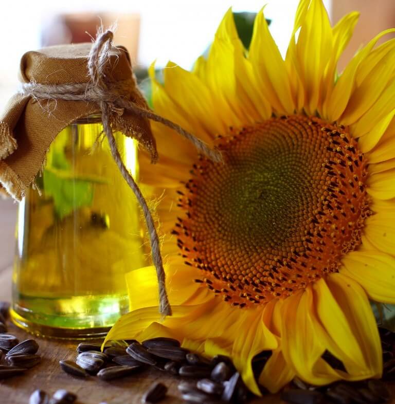 Soothing Sunflower Body Oils