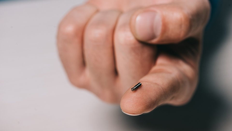 Microchipping The Basics