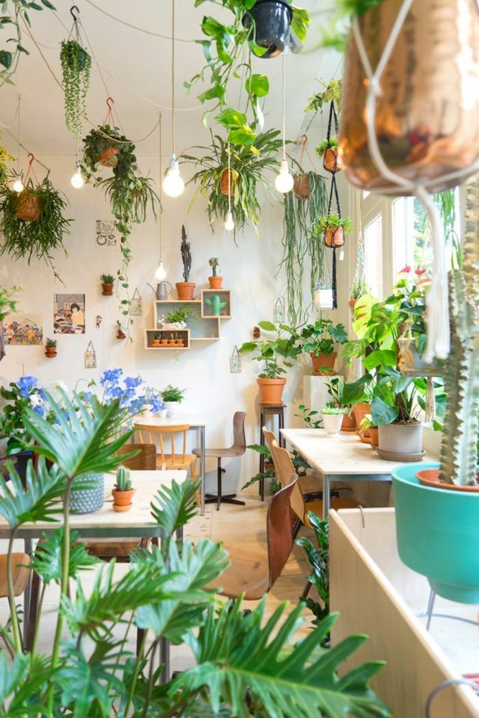 10 Beautiful Ways To Decorate Indoor Plant In Living Room