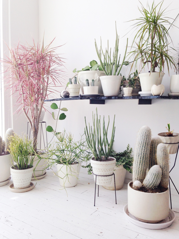 10 Beautiful Ways To Decorate Indoor Plant In Living Room - Indoor Plants For Home Decoration