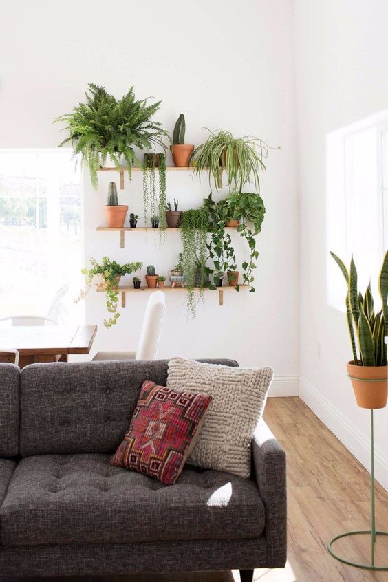 Decorate Living Room With Indoor Plants : 10 Beautiful Ways To Decorate ...