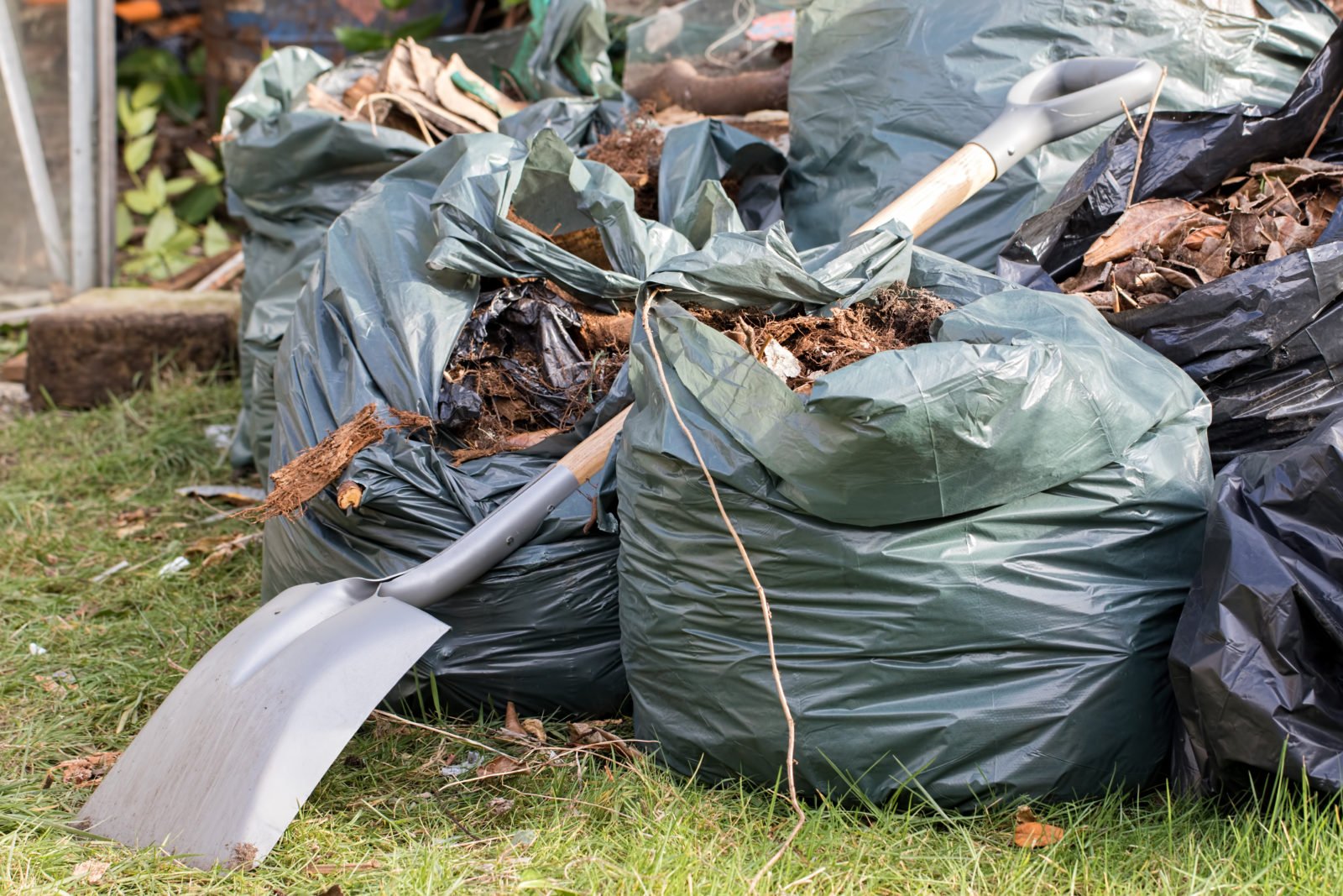 5 Tips For Managing Garden Waste